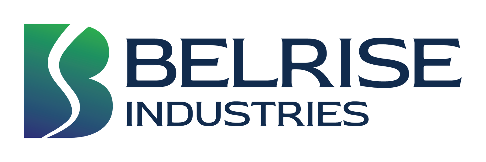 Belrise Industries IPO Details
